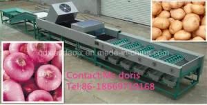 Automatic Fruit Sorting Machine, Onion Sorter Machine