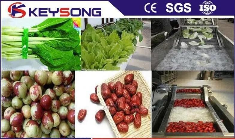 Industrial Automatic Fruit and Vegetable Food Washer Washing Cleaning Machine