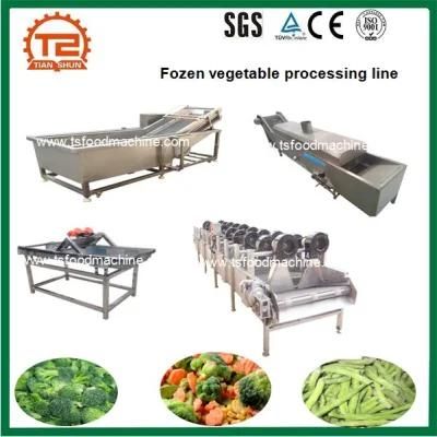 Frozen Vegetable Processing Line Including Washing Blanching and Drying Machine