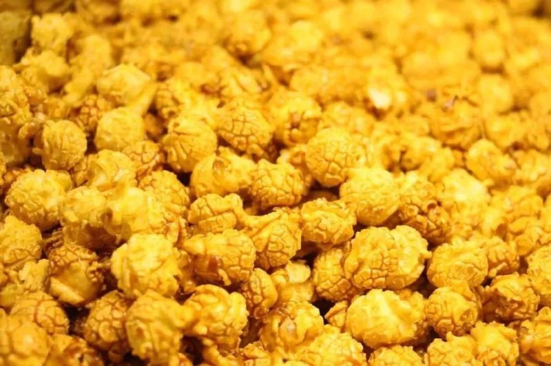 Seasoning Snacks Machines Popcorn Seasoning Powder Mixing Machine