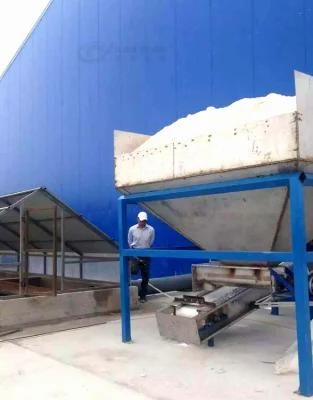 Global Shining Edible Food Table Human Industrial Livestock Salt Making Machine