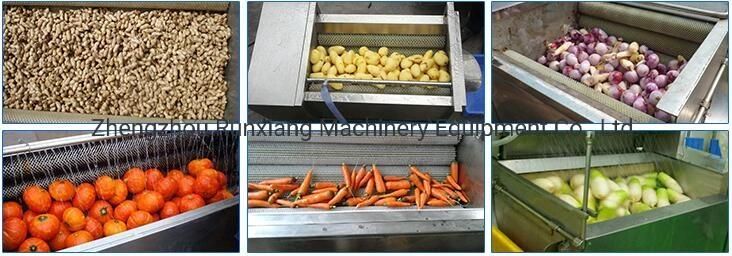 Vegetable Potato Carrot Onion Fish Scale Washing Peeling Machine