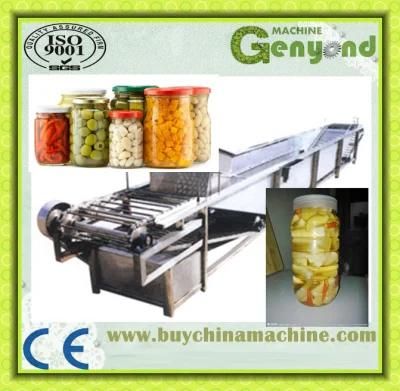 Pickled Cucumber and Vegetables Processing Plant