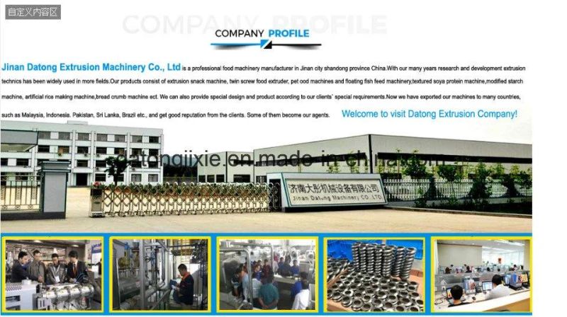 Ce Certificate Hot Sell Soya Nugget Processing Line
