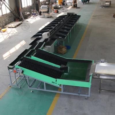 Industrial Avocado Apple Washing Waxing Weight Sorting Line for Factory