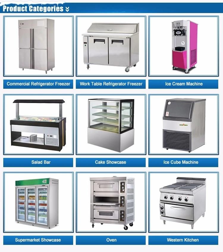 Guangzhou Supplier Vertical Rotisserie Commercial Meat Gas Shawarma