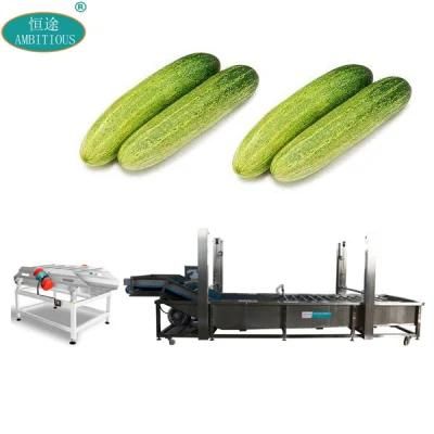 Vegetable Washing Machine Cucumber Vegetable Washing Conveyor