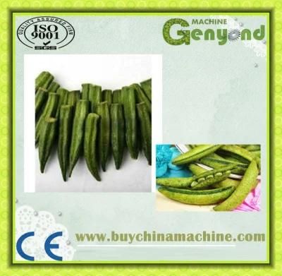 Fruit Vegetable Crisps Frying Equipment