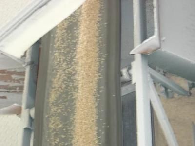 High Quality Belt Conveyor Machine for Bulk Rice Paddy Grain Conveying