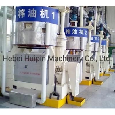 Continuous Screw Oil Press Rapeseed Oil Press Hemp Oil Expeller