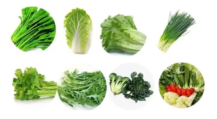 Electric Vegetable Cutter Fresh Leave Cutting Machine