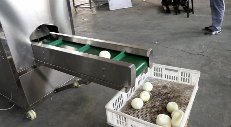 Factory Supply Automatic Onion Peeling and Root Cutting Machine