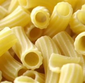 Pasta and Macaroni of Processing Line