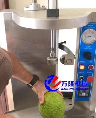 Automatical Watermelon Squash Pumpkin Breadfruit Peeler Peeling Machine