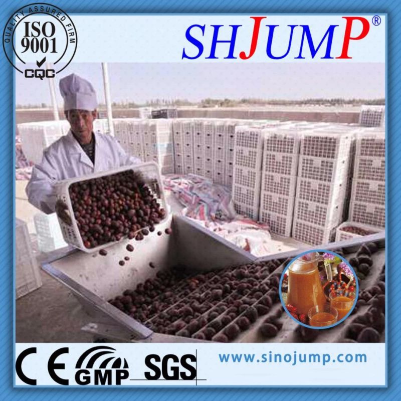 Jujube Juice Production Line /Jujube Paste Production Plant