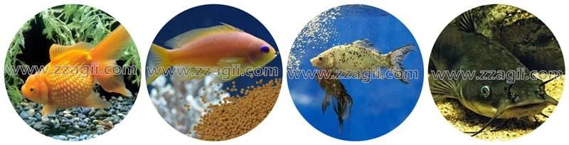 Good Quality Automatic Floating Tilapia Fish Feed Pellet Machine