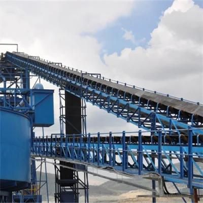 Heavy-Duty Angled Belt Conveyor for Grain Mill