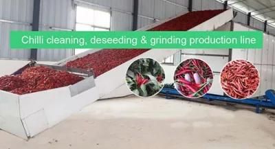 Automatic Chilli Cleaning Deseeding and Grinding Production Line Project