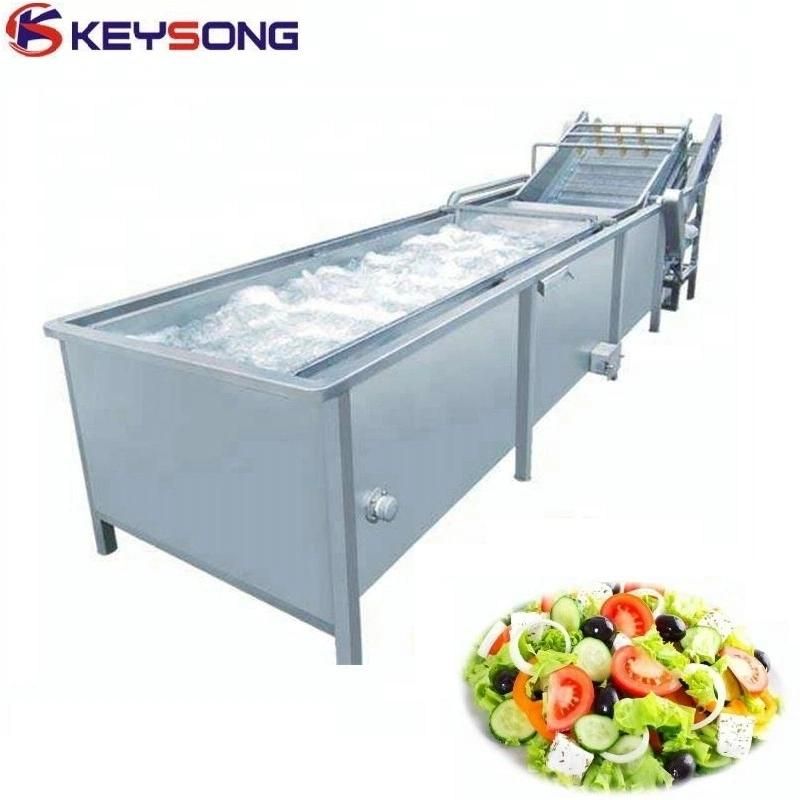 Air Bubble Fruit Vegetable Processing Washing Cleaning Machinery