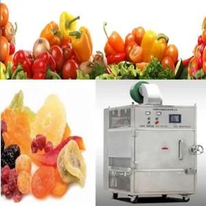 Microwave Drying Equipment Vegetables Agriculture Vacuum Dryer Machine