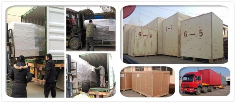 Big Capacity Pet Dog Food Production Equipment