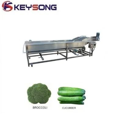 Automatic Mushroom Lettuce Ginger Onion Fruits Vegetables Washing Machine