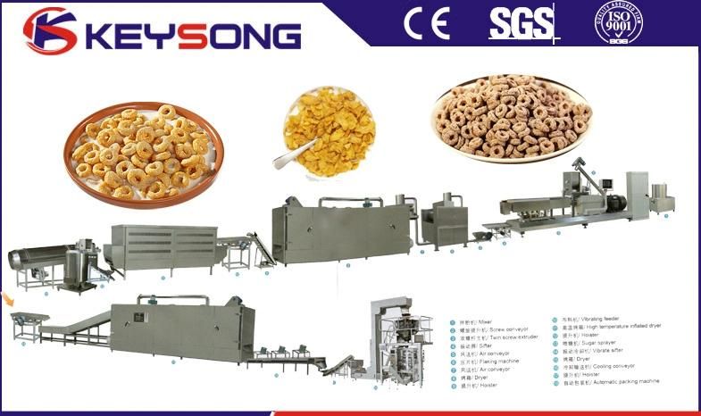 Newly Designed Corn Flakes Processing Line