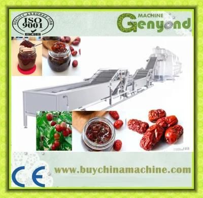 Jujube Honey Production Line/Processing Machine