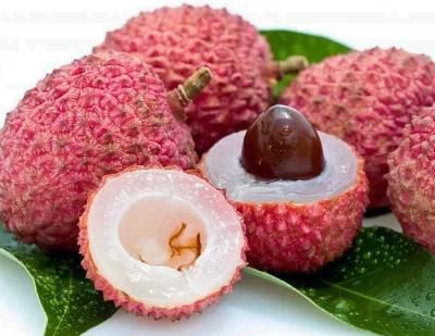 Popular Lychee/Litchi Drink Manufacturing Machines at Good Price