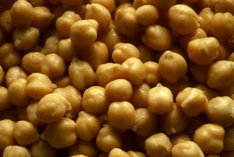 Heatconducting Oil Frying Machinery Mesh Belt Fryer for Chickpeas