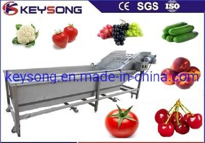 Automatic Fruit Vegetable Cleaning Machinery