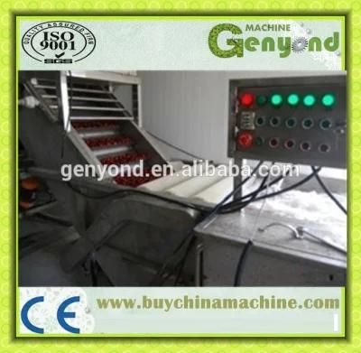 High Efficiency Dates Washing and Sorting Line