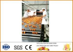 220lt Drum Filler for Paste Tomato Paste Production Line Fresh Tomato Paste Kechup ...