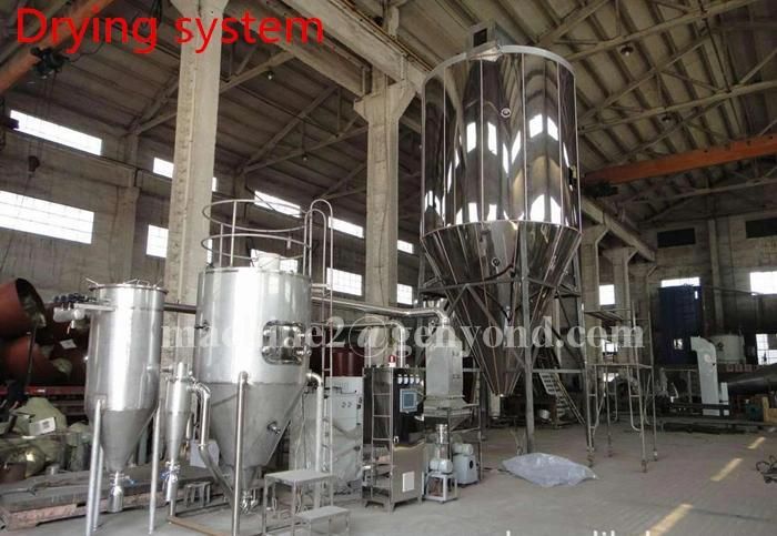 Complete Fig Powder Production Line