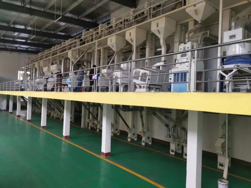 Stainless Steel Complete Set Parboiled Rice Mill Plant