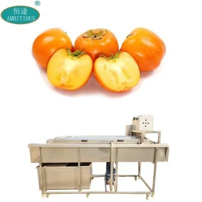 Brush Spray Fruit Brush Washing Machines Persimmon Brush Washing Machine