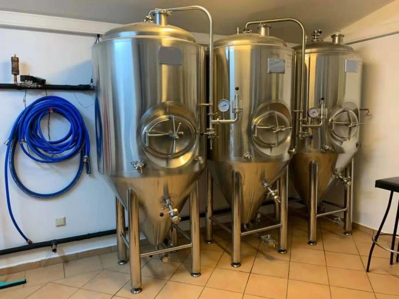 Hot Sale 500L Beer Brewery Equipment for Beer Brewing System