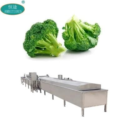 Automatic Vegetable Boiling Cooking Machine Broccoli Blanching Machine
