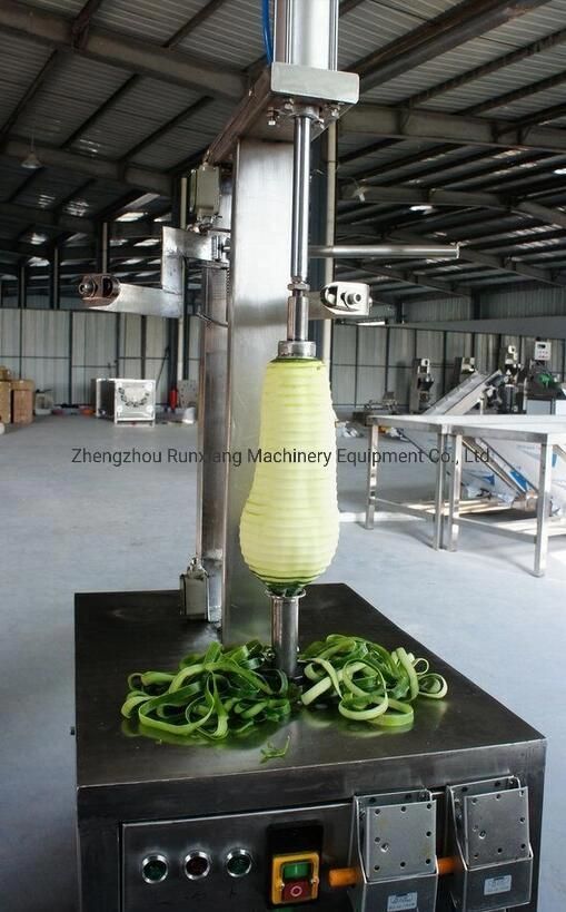 Fruits and Vegetables Pumpkin Papaya Peeling Processing Machine