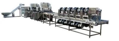 Commercial Various Vegetable and Fruit Washing Machine