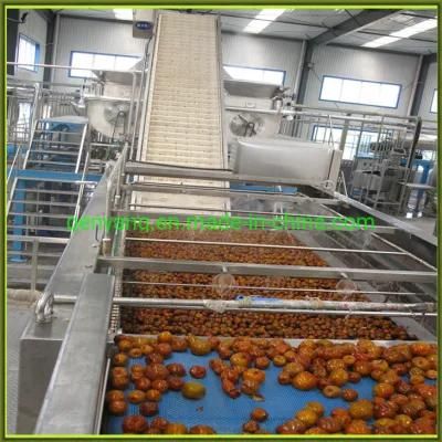 Automatic Stainless Steel Dates Pitting Machine