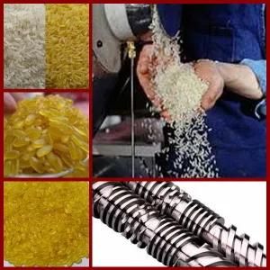 Artificial Nutrition Rice Make Machines Processing Line