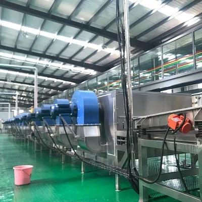 Low Price Belt Tunnel Drying Machine for Fruits and Vegetables