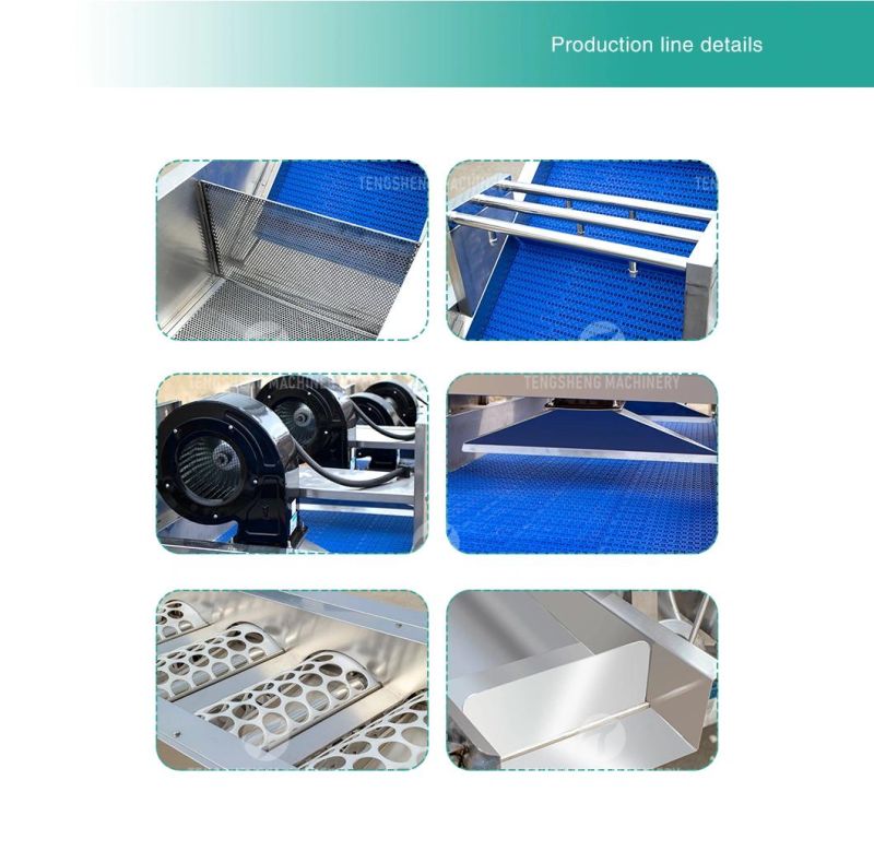 Citrus Apple Orange Passion Fruit Cleaning Air Drying Sorting Production Line Food Processing Equipment Machine