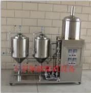 30 Liter Turnkey Homebrewing System