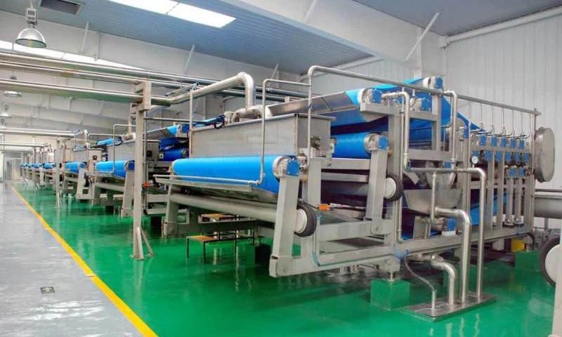 Clear Juice Production Machines From Washing, Juice Pressing to Clarifying Machines