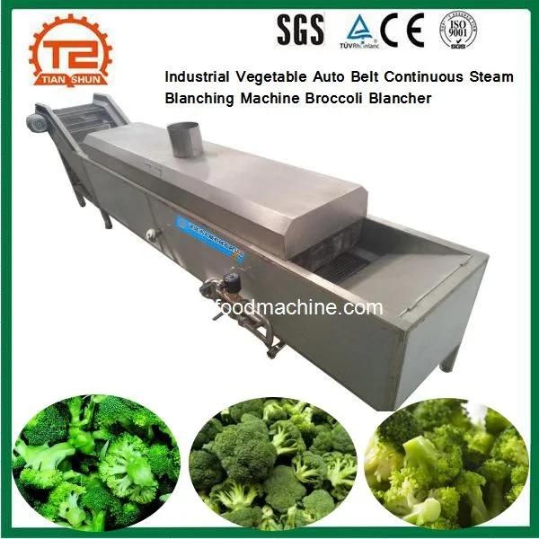 Industrial Vegetable Auto Belt Continuous Steam Blanching Machine Broccoli Blancher