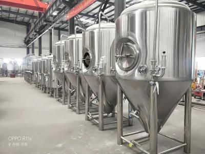 300L 500L 600L Beer Fermenting Tanks with Cone Bottom