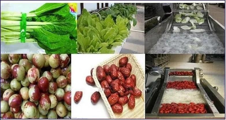 Food Processing Machinery Fruit Sorting Grading Washing Equipment