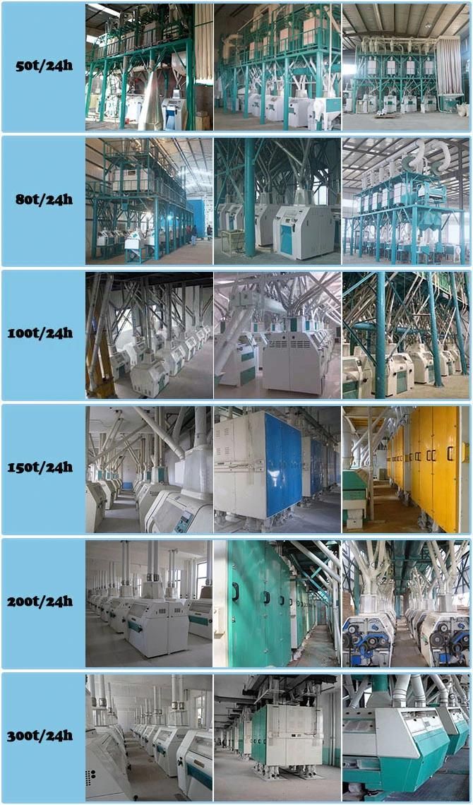 Corn Processing Equipment